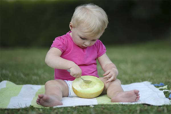 Quels melons donner aux tout-petits ?