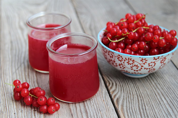 Kissel de groseilles rouges