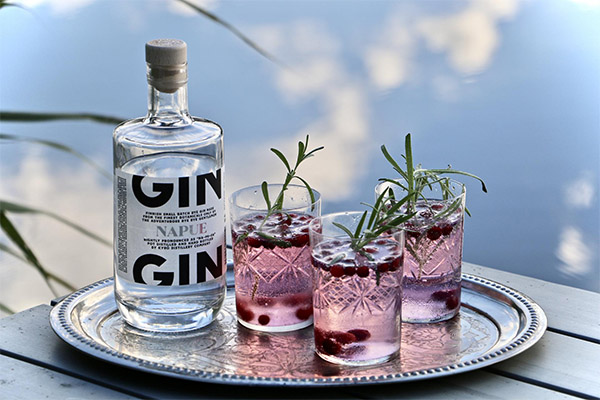 Gin-Cocktails
