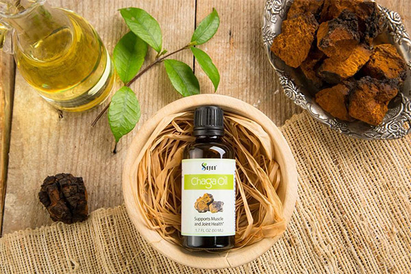 Huile de chaga