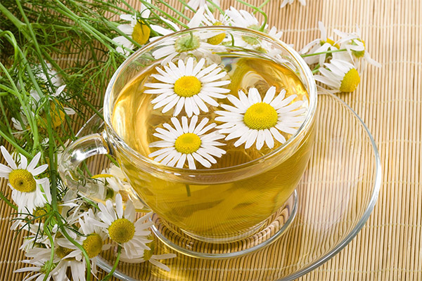 L'infusion de camomille en cosmétologie