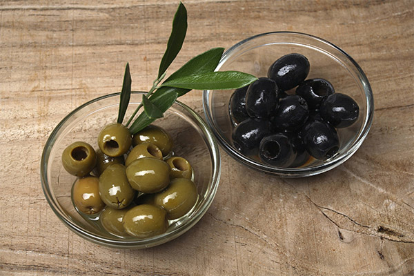 Oliven (schwarze Oliven) in der Medizin