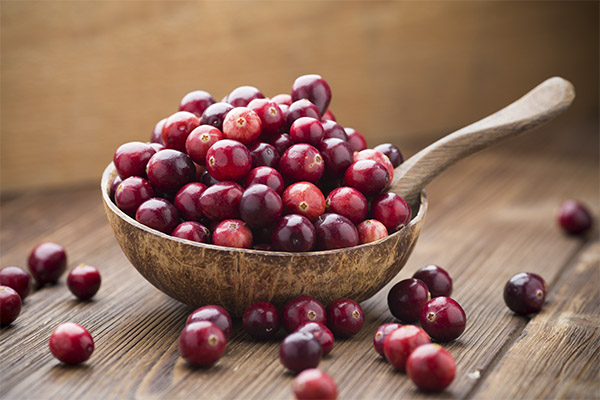 Gesunde Eigenschaften der Cranberry