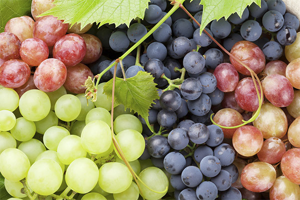 Propriétés bénéfiques des différentes variétés de raisin