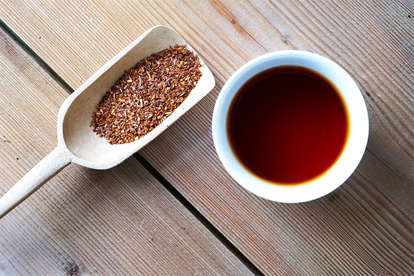 Propriétés bénéfiques du rooibos