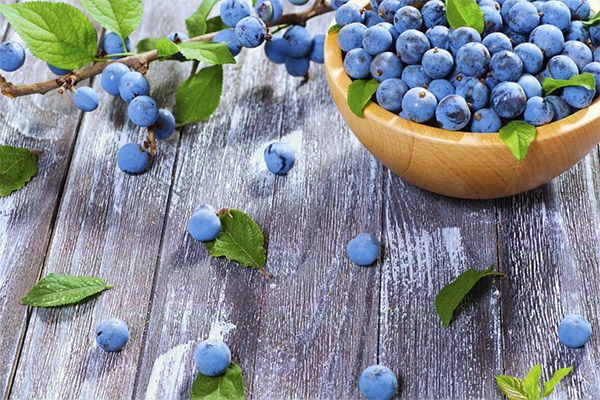 Propriétés bénéfiques du prunellier