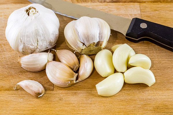 Nutzen und Schaden von Knoblauch