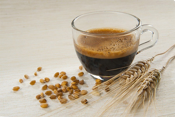 Bienfaits et méfaits du café d'orge