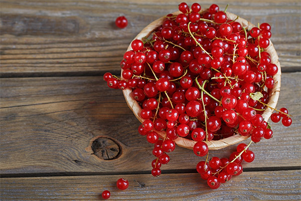 Bienfaits et méfaits de la groseille rouge