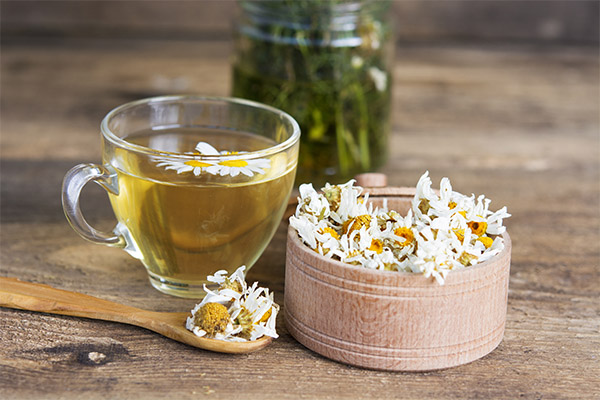 Bienfaits et risques de l'infusion de camomille