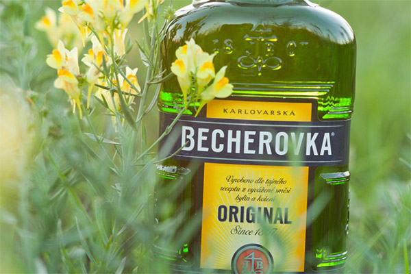 Bienfaits et méfaits du baume aux herbes Becherovka