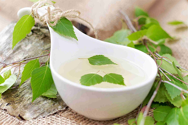 Utilisation du jus de bouleau en cosmétologie