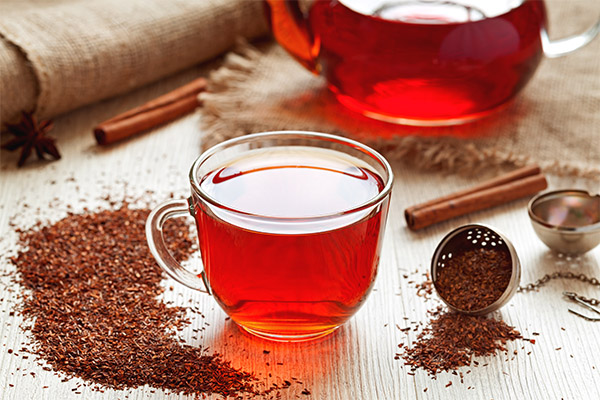 Le rooibos en médecine