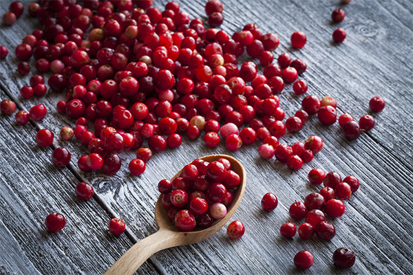 Wie viele Cranberries kann man pro Tag essen?