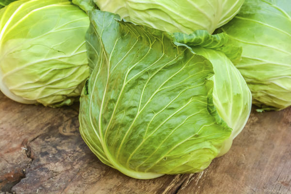 Weißkohl in der Medizin
