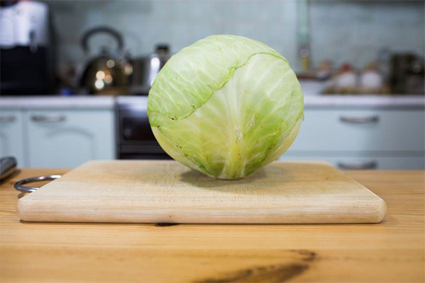 Was kann man aus Weißkohl zubereiten?