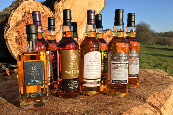 Wie trinken Sie verschiedene Whiskysorten?