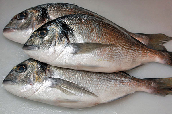Comment nettoyer correctement le poisson dorade