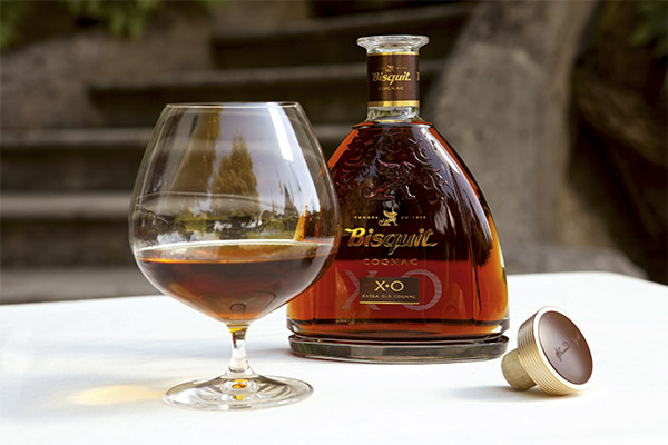 Wie trinkt man Cognac richtig