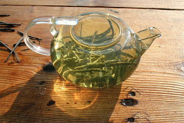 Comment infuser et boire correctement le thé kudin