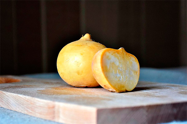 Comment préparer le navet