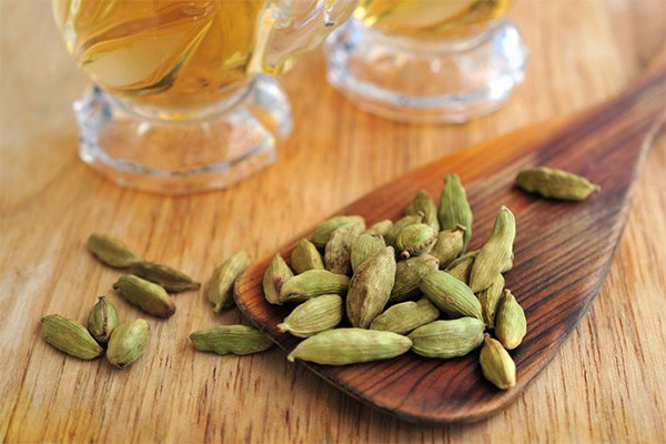 Wie man Tee mit Kardamom aufbrüht