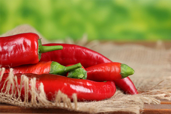 Le piment rouge en médecine