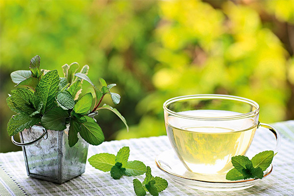 Le thé à la menthe en médecine