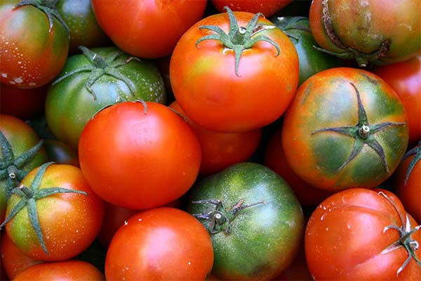 Peut-on manger des tomates en cas de diabète sucré?