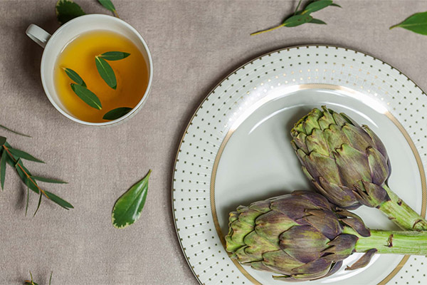 Ist Artischockentee gesund?