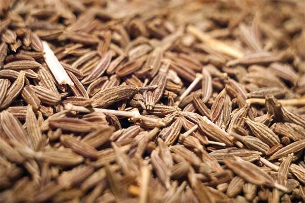 Propriétés bénéfiques du cumin