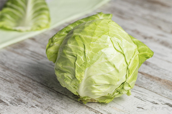 Nutzen und Schaden von Weißkohl