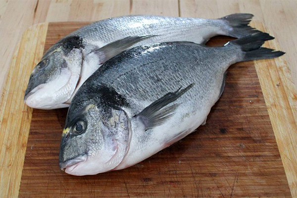 Bienfaits et inconvénients de la dorade