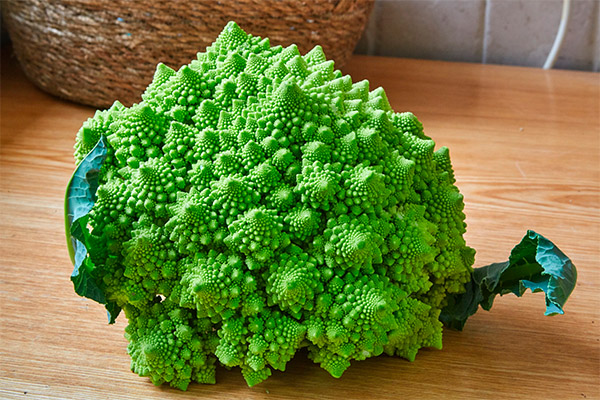 Bienfaits et inconvénients du chou romanesco