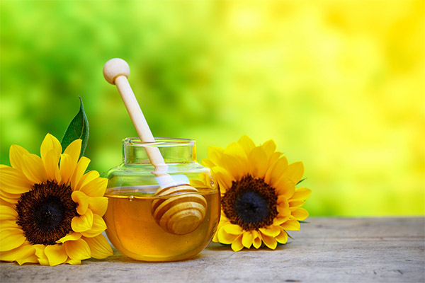 Nutzen und Schaden von Sonnenblumenhonig