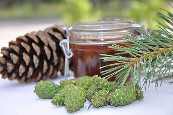 Bienfaits et méfaits de la confiture de pommes de pin