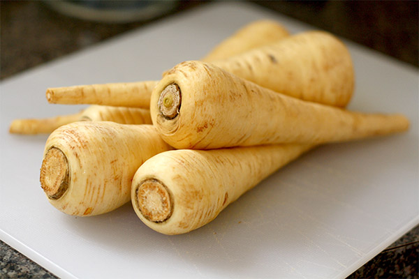 Utilisation du panais en cuisine