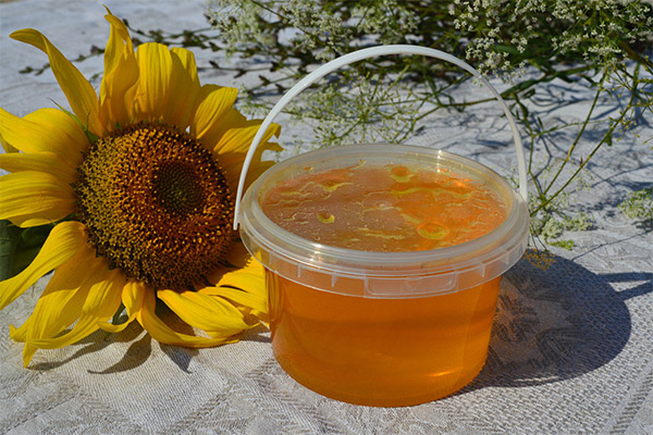 Rezepte der traditionellen Medizin mit Sonnenblumenhonig