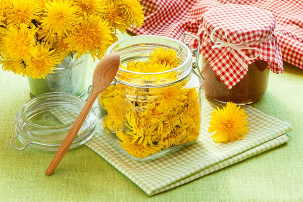 Confiture de pissenlits sans cuisson