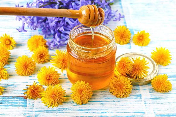 Confiture (miel) de pissenlits en médecine