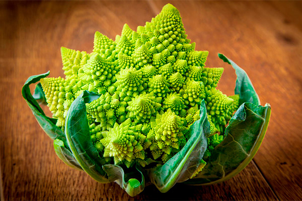 Méfaits et contre-indications du chou romanesco