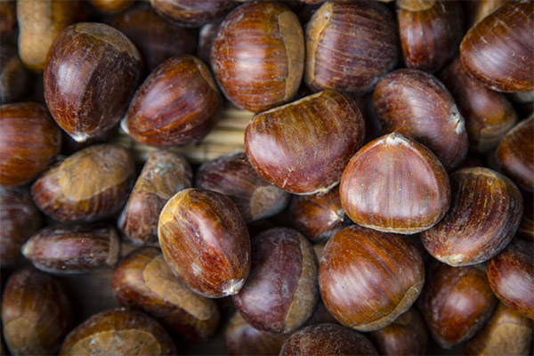 Quels sont les bienfaits de la châtaigne comestible