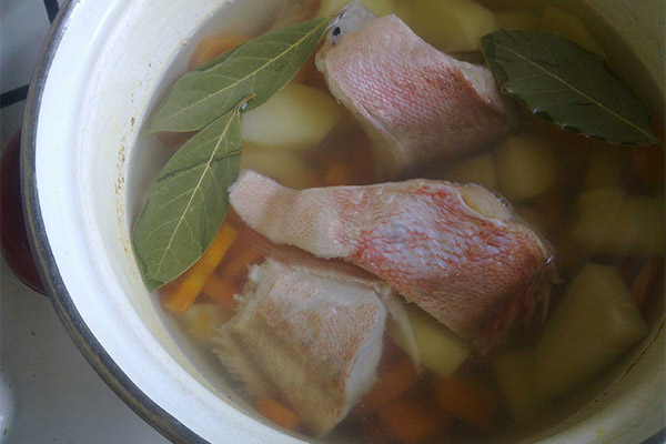 Comment préparer une soupe de poisson au sébaste