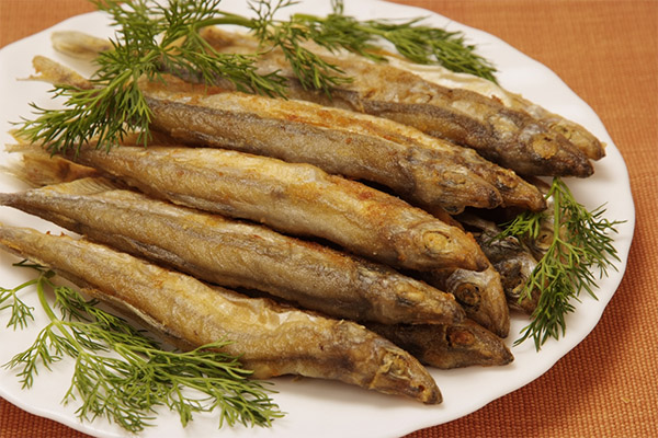 Wie Sie Kapelin lecker zubereiten