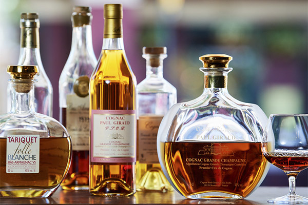 Wie wählen und lagern Sie Cognac?
