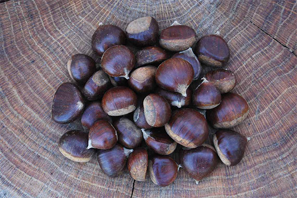 Le châtaignier comestible en cosmétologie