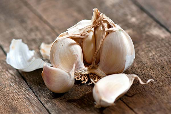 Peut-on manger de l'ail en cas de diabète sucré ?