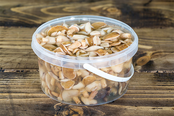 Sind eingelegte Butterpilze gesund?