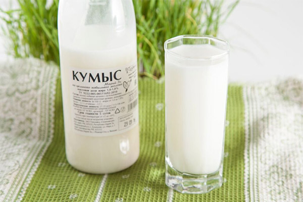 Bienfaits et méfaits du koumys