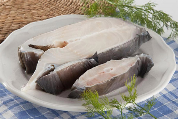 Bienfaits et méfaits du poisson-loup